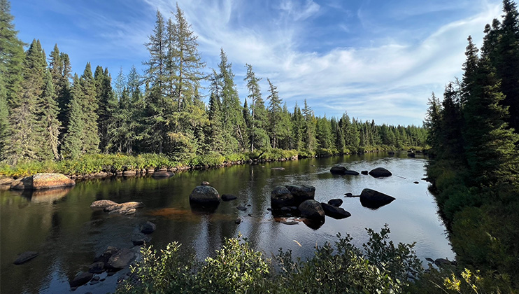 Marche thérapeutique voyage initiatique au Canada, sur les terres des ours et rapaces